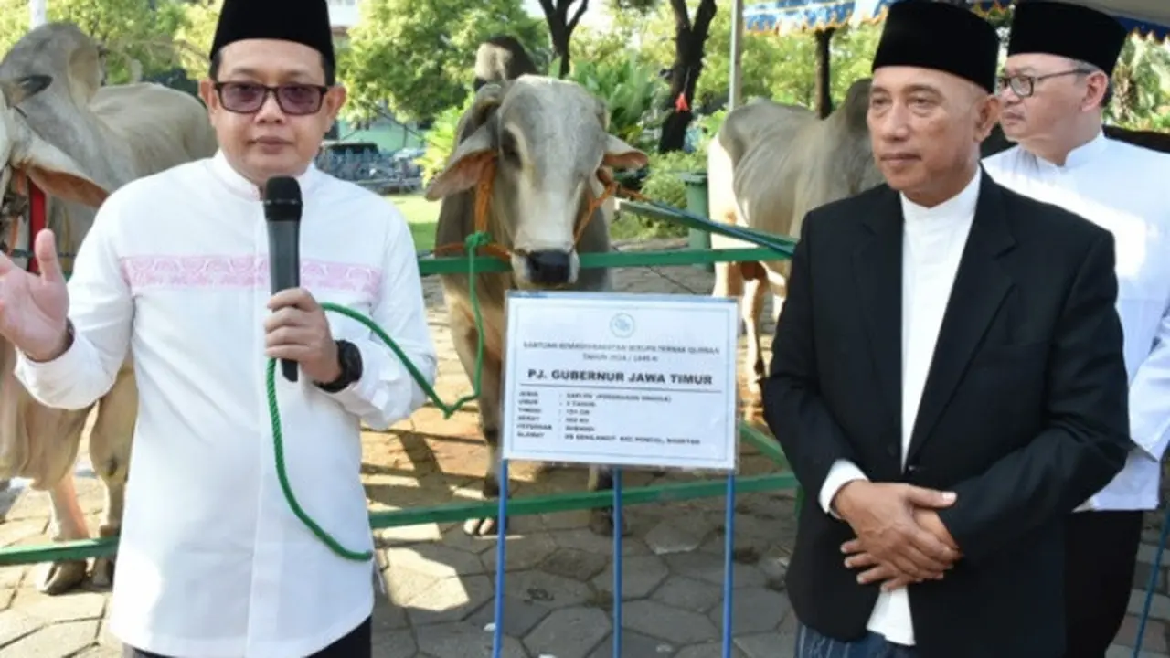 Adhy Karyono menyerahkan sapi berjenis Peranakan Ongole dengan berat 950 kg kepada Masjid Nasional Al-Akbar Surabaya. (Istimewa)