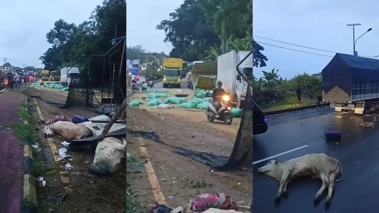 Kecelakaan di jalur lintas Sumatera. (Istimewa)