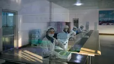 Foto pada 30 November 2018 menunjukkan pekerja mengamas produk di Pabrik Kosmetik Sinuiju, kota perbatasan Korea Utara dengan China. Pabrik yang didirikan pada 1949 itu adalah basis produksi kosmetik berskala besar di Korea Utara. (Ed JONES/AFP)