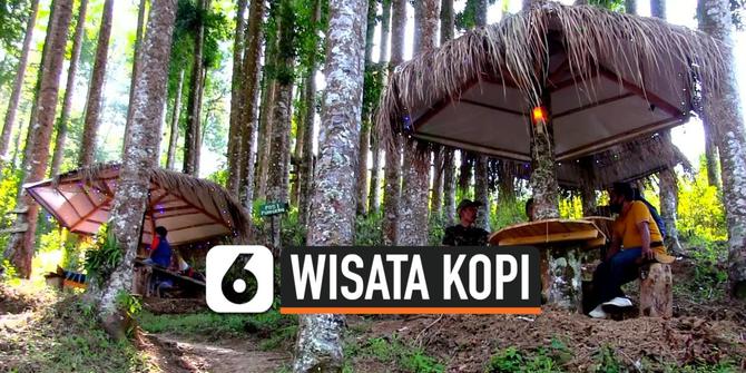 VIDEO: Wisata Kopi di Lereng Gunung Sumbing