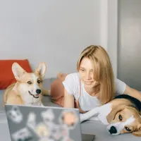 Hewan peliharaan (copyright pexels/Nataliya Vaitkevich)