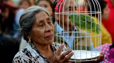 Seorang wanita paruh baya membawa burungnya untuk diberkati di Gereja San Pablo Ermitano, Mexico City, Meksiko (22/1). Pemberkatan hewan ini selalu digelar setiap tahunnya. (AFP Photo/Ronaldo Schemidt)