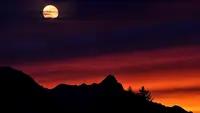 Ilustrasi malam hari, bulan. (Photo by Pixabay)