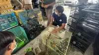 Penyelundupan burung dari Kalteng digagalkan di Pelabuhan Paciran Lamongan. (Dian Kurniawan/Liputan6.com)