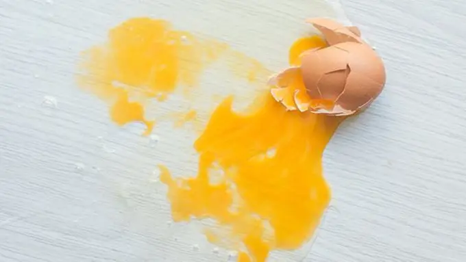 Tips membersihkan pecahan telur/copyright Shutterstock.com