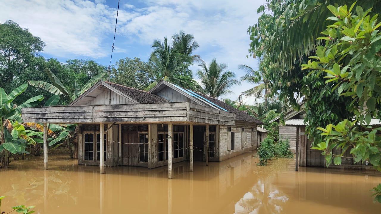 264 Jiwa Terdampak Banjir di Tanah Bumbu Kalimantan Selatan