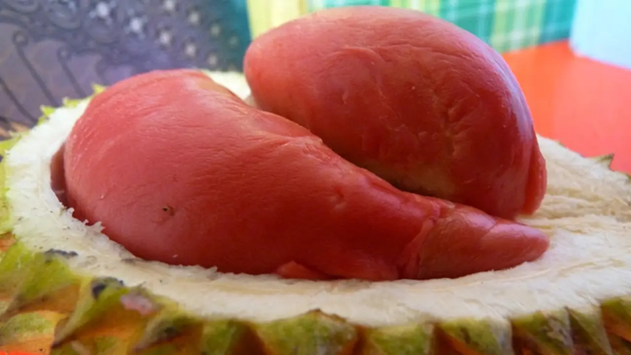 5 Jenis Durian Khas Indonesia yang Populer 