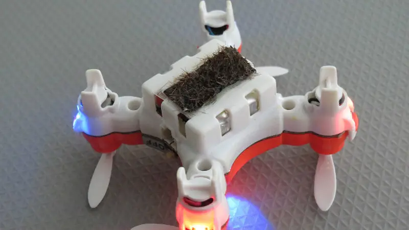 Pollenator drone (0)