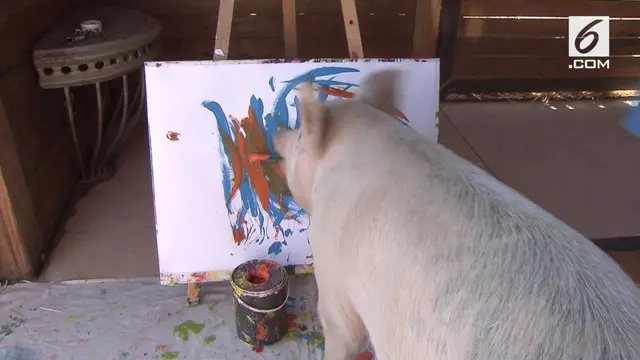 Seekor babi bernama Pigcasso menjadi terkenal setelah menjadi pelukis. Lukisan abstrak Pigcasso terjual dengan nilai ribuan dollar.
