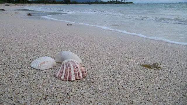 Wisata Lampung