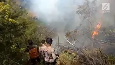 Kebakaran hutan lindung yang saat ini meluas ke dari kabupaten Temanggung dan meluas ke Wonosobo, Jawa-Tengah.