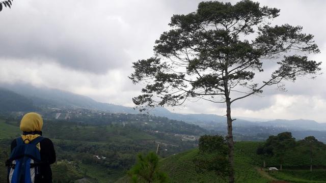 Berburu Panorama Indah di Karanganyar Solo