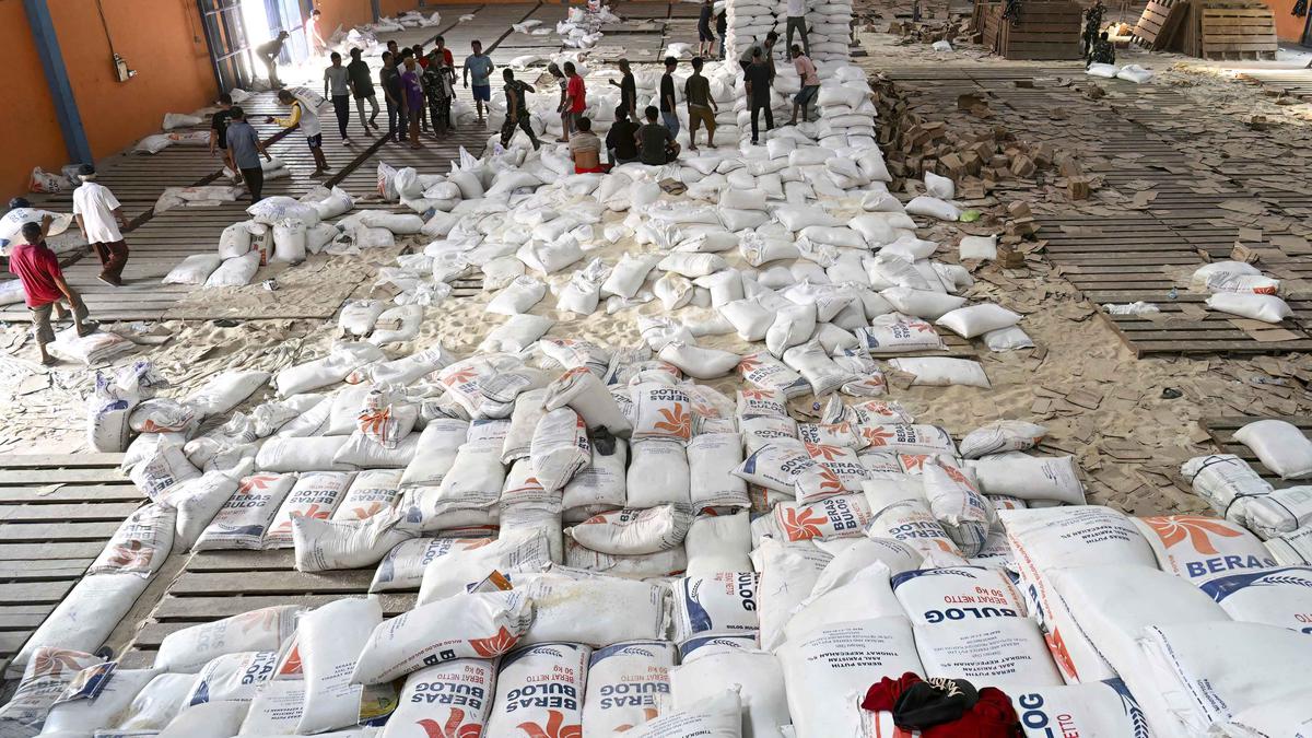 Hoaks Seputar Beras Bikin Resah Masyarakat, dari Beras Plastik hingga Penjualan Beras Bantuan Bencana