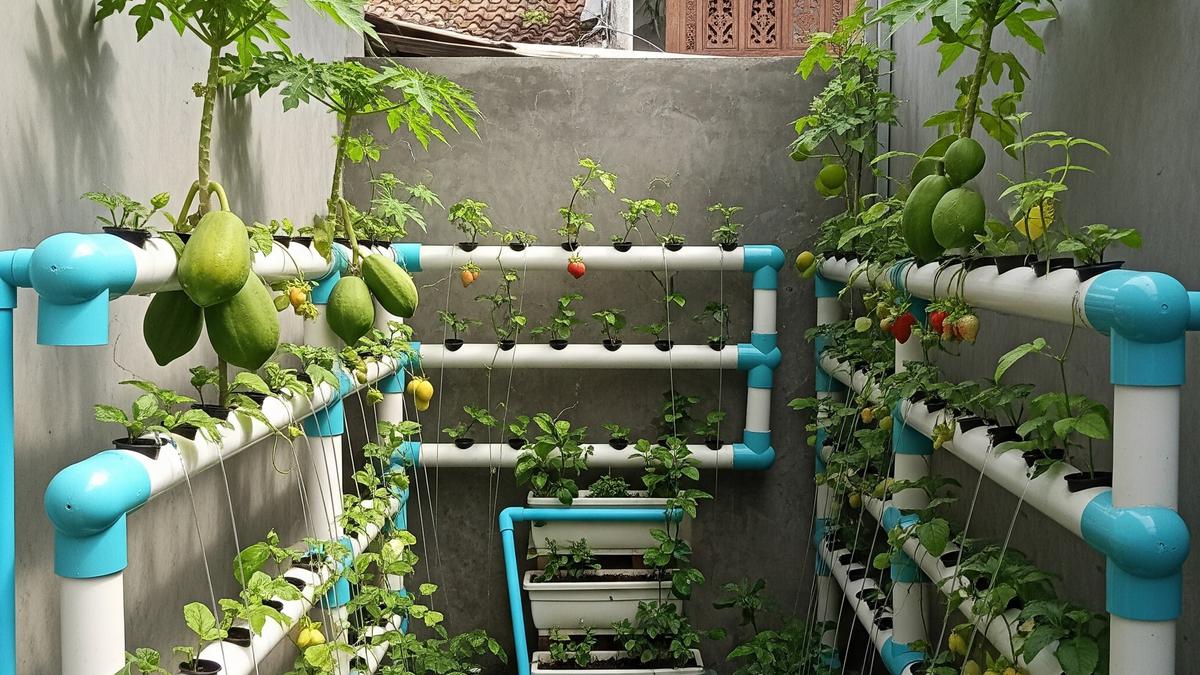 7 Ide Kebun Mini dengan Pengairan Otomatis, Panduan Lengkap untuk Ruang Terbatas