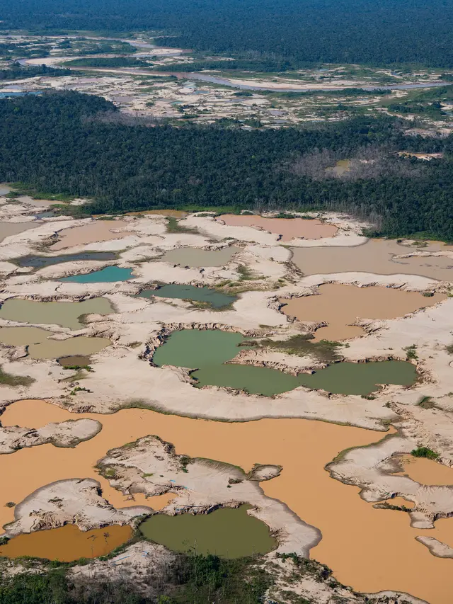 Kerusakan Hutan Amazon Akibat Penambangan Ilegal