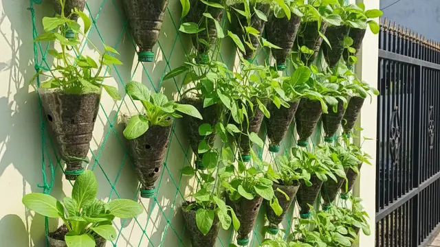 Kebun Gantung dari Botol Bekas untuk Rumah Tanpa Tanah. AI