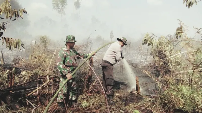633 Hektare Lahan di Riau Jadi Arang Hanya dalam 2 Bulan