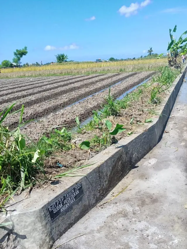 Tingkatkan Indeks Pertanaman, Kementan Rehabilitasi Jaringan Irigasi di Badung