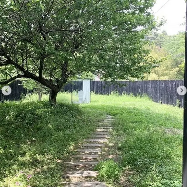 Ada Toilet Transparan ala Jepang di Sudirman, Kacanya Warna-warni