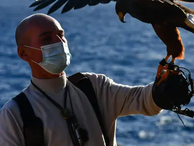 Pawang beserta burung elang harris peliharaannya berpartisipasi dalam acara demonstrasi berburu menggunakan burung elang di Wied iz-Zurrieq, Malta, 22 November 2020. Acara ini digelar untuk memperingati Hari Burung Elang Sedunia. (Xinhua/Jonathan Borg)