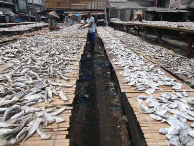 Sejumlah nelayan menjemur ikan di Muara Angke, Jakarta, Selasa (17/1). Kamar Dagang dan Industri (Kadin) Indonesia menginginkan perbankan bisa memperbesar fasilitas pembiayaan untuk investasi sektor kelautan di Indonesia. (Liputan6.com/Angga Yuniar)