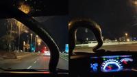 Ular Besar Nempel di Kaca Mobil, Pengemudi Ini Tetap Tenang dan Santai (TikTok/@aatwilight)