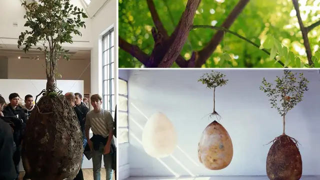 Capsula Mundi