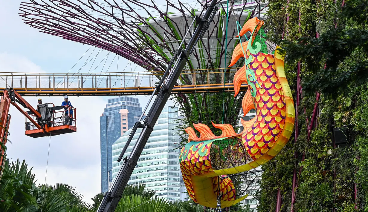Derek mengangkat bagian dari struktur naga yang dipasang sebagai persiapan untuk Tahun Baru Imlek mendatang di sekitar jalur pengamatan hutan Supertrees di Gardens by the Bay, Singapura, pada tanggal 15 Januari 2024. (Roslan RAHMAN/AFP)