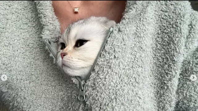 Kylie Jenner Pamer Anak Kucing Berkalung Berkilauan, Dituding Hanya Dijadikan Aksesori