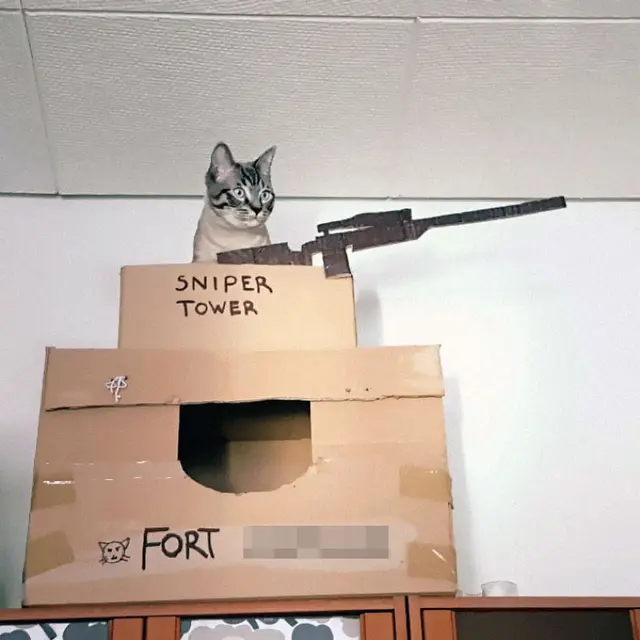 miniatur rumah kucing