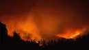 Pandangan udara saat kobaran api melahap hutan di wilayah Santiago, Chile (20/1). Dalam peristiwa ini tidak ada korban jiwa. (AFP Photo/Martin Bernetti)