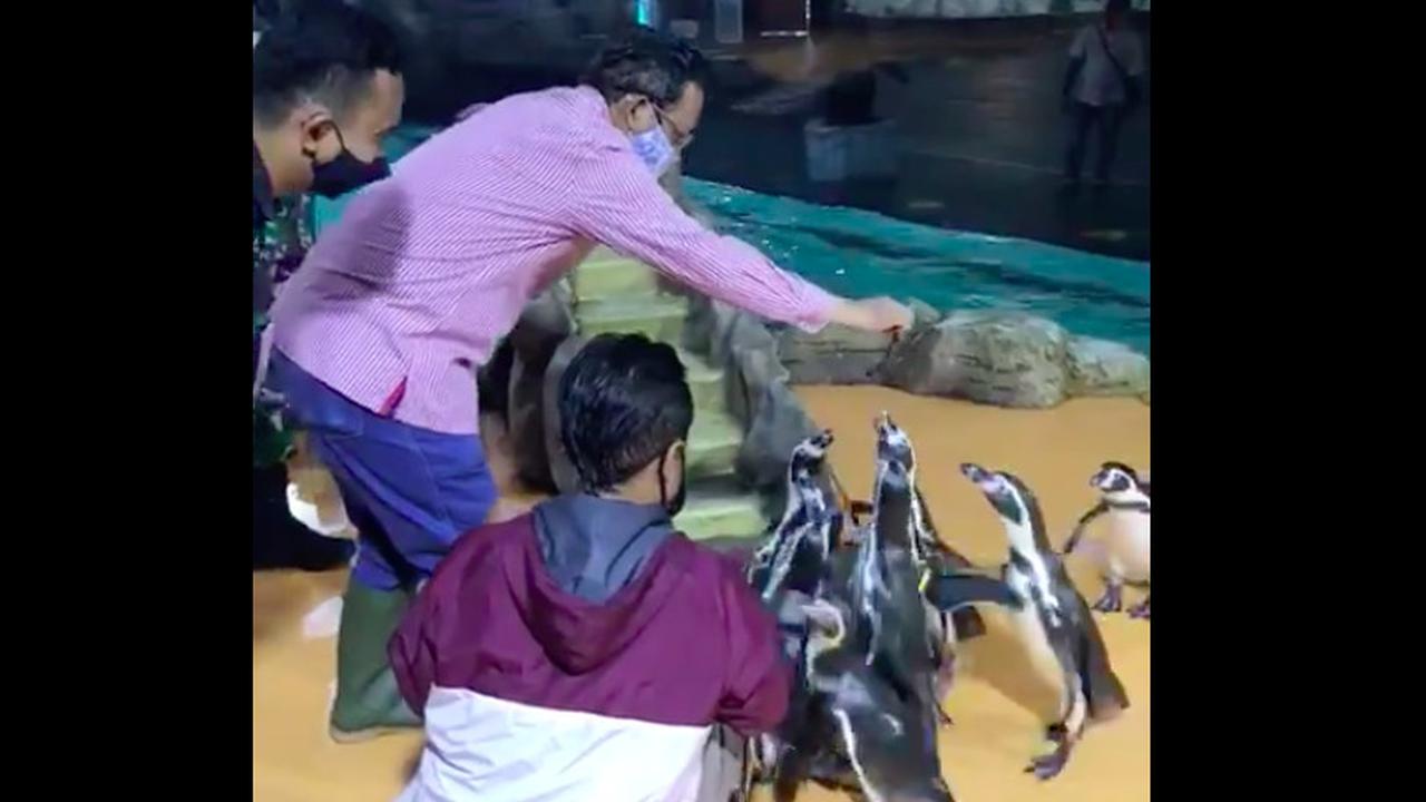 Menko Polhukam Mahfud Md menghabiskan waktu cuti bersama dengan mengunjungi Taman Impian Jaya Ancol. (Foto: Twitter Mahfud Md)