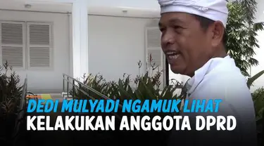 Dedi Mulyadi lagi-lagi membuat heboh jagat media sosial melalui videonya. Kali ini, pria yang akrab disapa Kang Dedi tersebut membuat video sidak anggota DPRD Purwakarta.